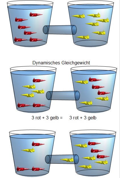 Dynamisches Gleichgewicht Dynamisches Gleichgewicht