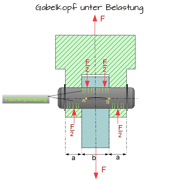 Gabelkopf unter Belastung Gabelkopf unter Belastung