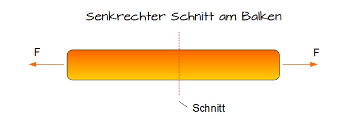 Senkrechter Schnitt am Balken Senkrechter Schnitt am Balken