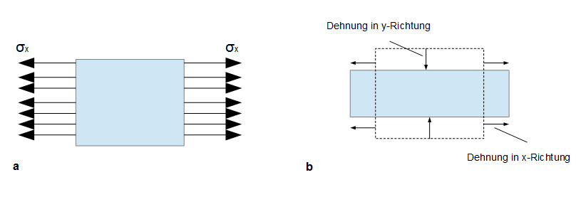 Längsdehnung und Querdehnung Längsdehnung und Querdehnung