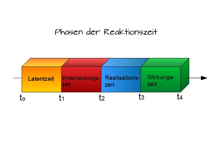 Phasen der Reaktionszeit Phasen der Reaktionszeit