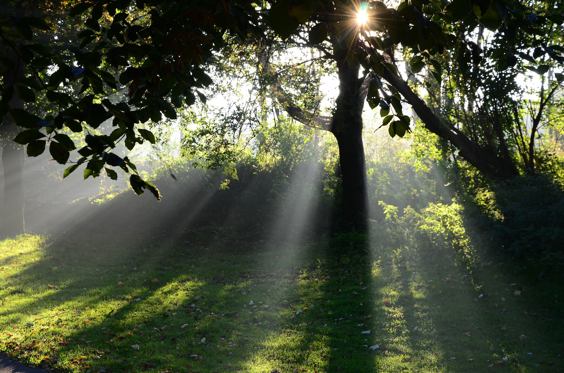 Sonnenstrahlen Sonnenstrahlen