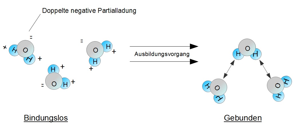 Wasserstoffbrückenbindung Wasserstoffbrückenbindung