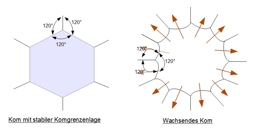 Kornwachstum Kornwachstum