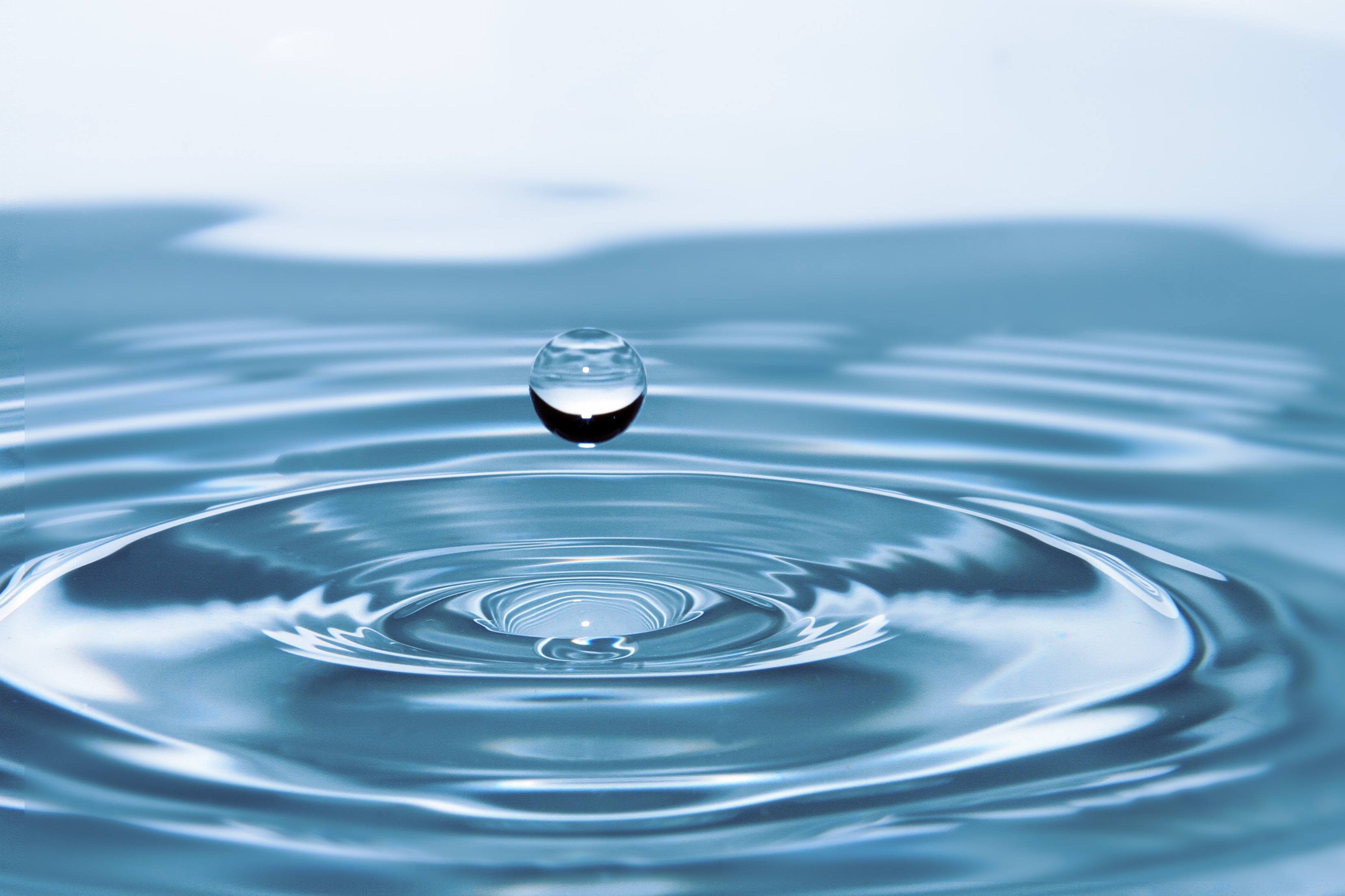 Vertreter der Wasserstoffbrückenbindung Vertreter der Wasserstoffbrückenbindung: Wasser