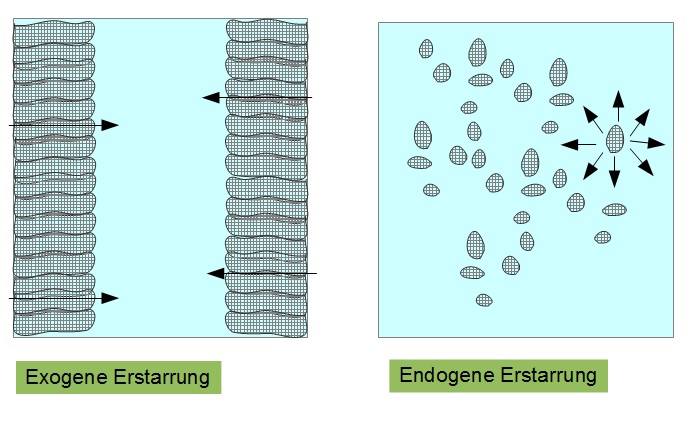 Endogene und Exogene Erstarrung Endogene und Exogene Erstarrung