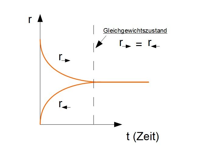 Reaktionsrate einer Gleichgewichtsreaktion