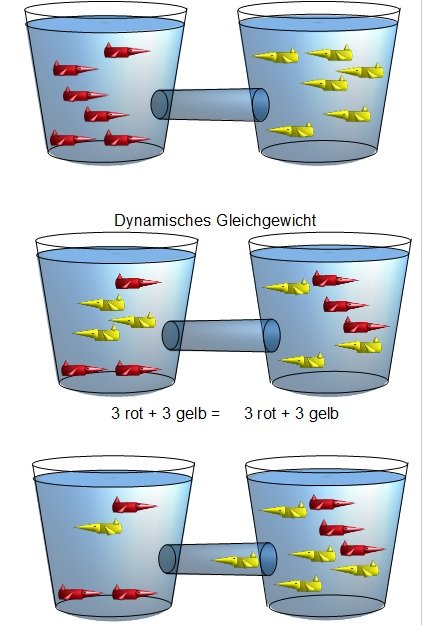 Dynamisches Gleichgewicht