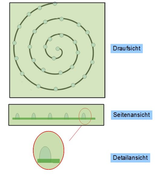 Spiralprobe (Schema)