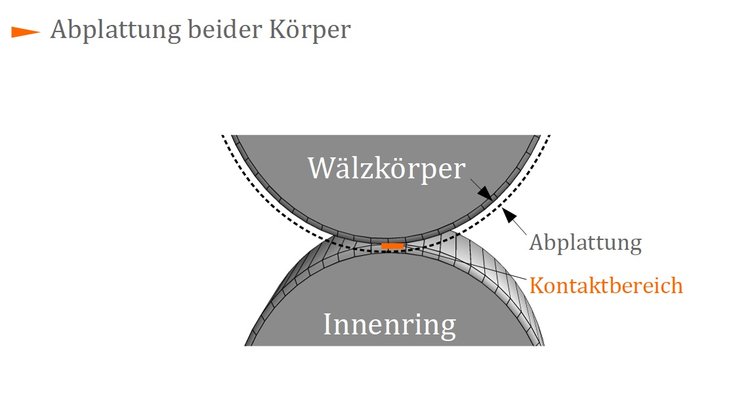 Abplattung beider Körper Abplattung beider Körper