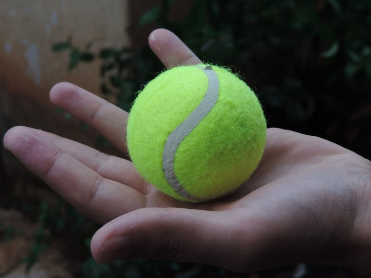 Tennisball