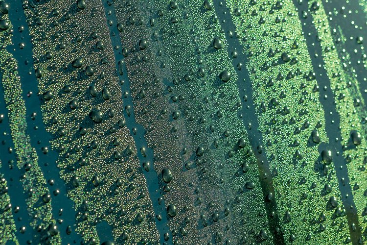 Kondenstropfen von Wasser an einer kalten Oberfläche
