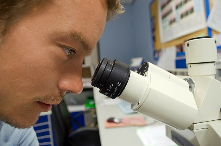 Analyst bei Probenanalyse mit dem Lichtmikroskop