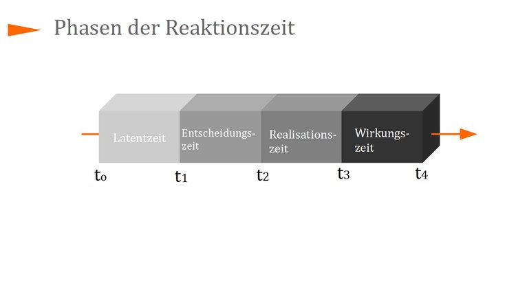 Phasen der Reaktionszeit