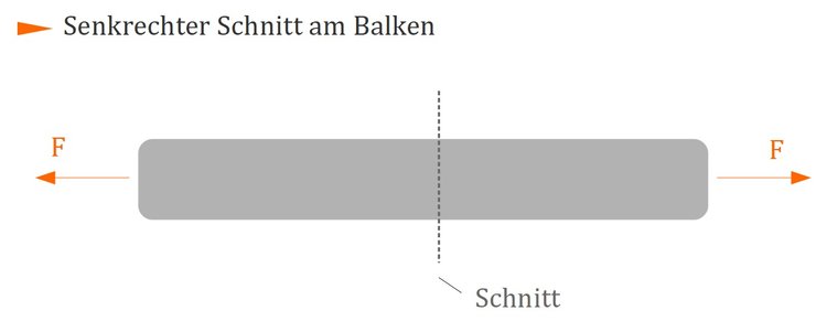 Senkrechter Schnitt am Balken