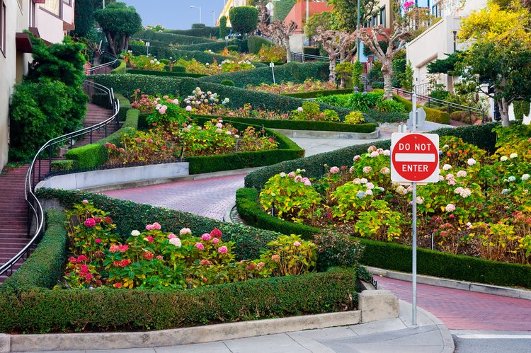 Die bei Autofahrern beliebte Lombard Street in San Francisco