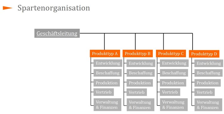 Spartenorganisation