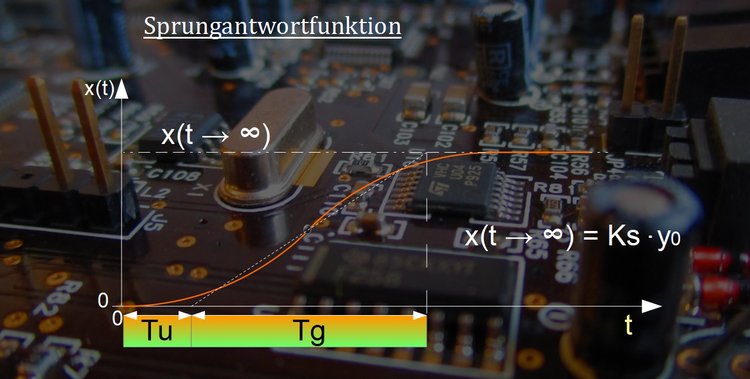 Sprungantwortfunktion