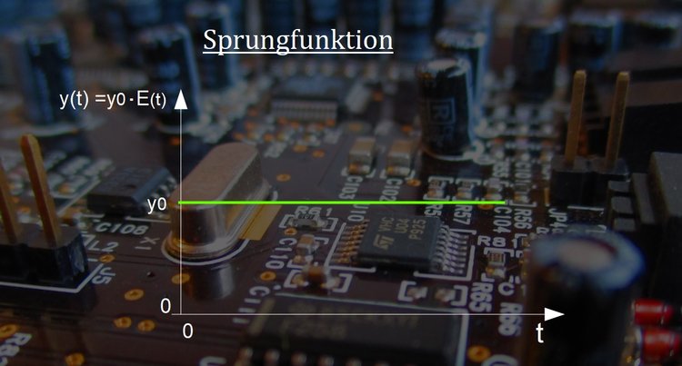 Sprungfunktion