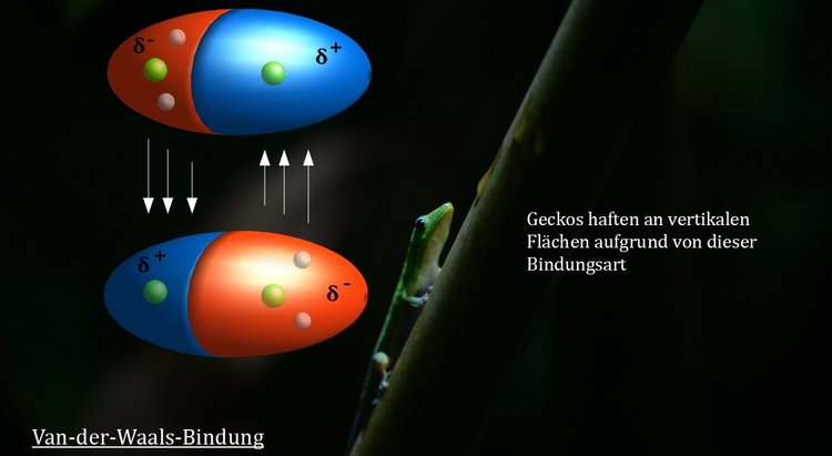 Bitte Beschreibung eingeben