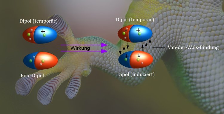 Van-der-Waals-Bindung, Reaktion