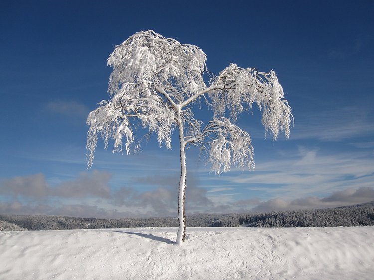 Schnee sublimiert bei Minusgraden