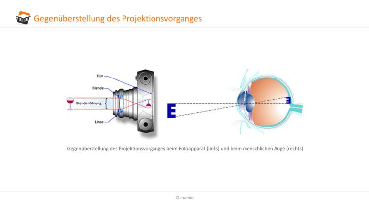 GegenÃƒÂ¼berstellung Projektionsvorgang